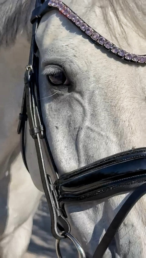 EquineTails Dressage Set — Bridle & Reins