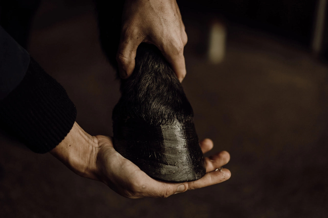 Natural Hoof Ointment