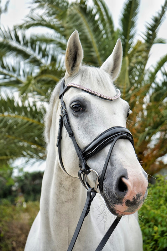 EquineTails Dressage Set — Bridle & Reins