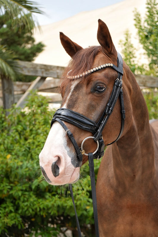 EquineTails Dressage Bridle