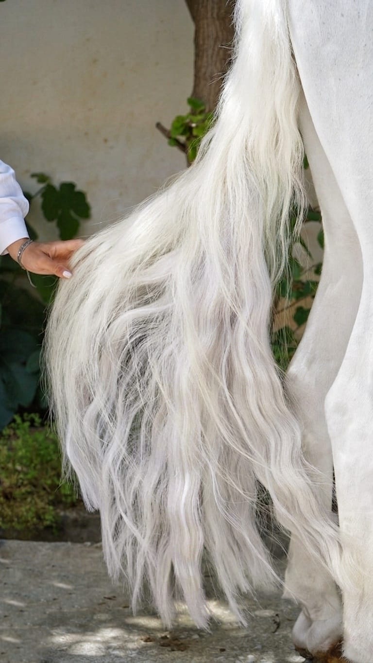 Natural White Horse Tail Extension