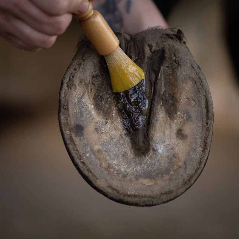 Hoof Care Balm