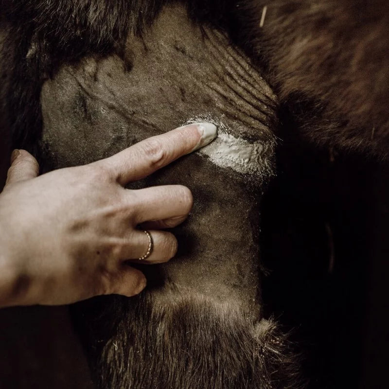 Healing Poultice