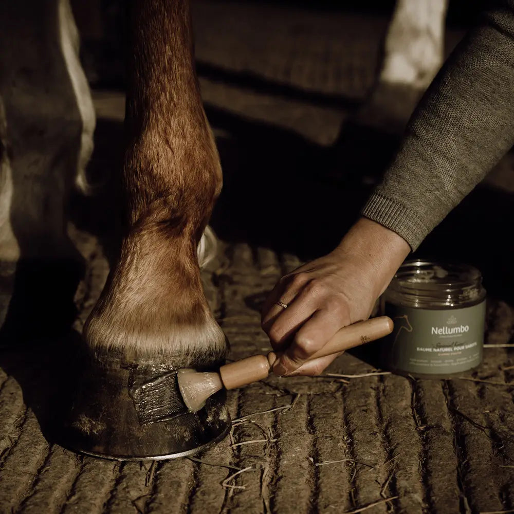 Brush Ointment Hoof Balm