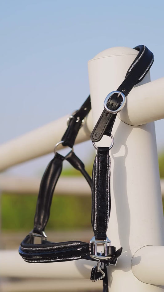 EquineTails Leather Halter
